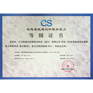 CS 信息系统建设和服务能力评估体系