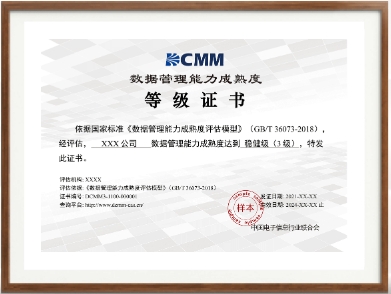 DCMM 数据管理能力成熟度模型